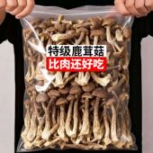 头茬新货鹿茸菇新货农家特产鹿茸菌干货鹿耳菇煲汤炒菜新鲜食材