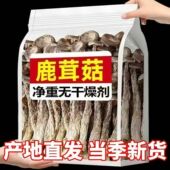 特级鹿茸菇干货500g鹿茸菌云南特产脆脆菇食用菌煲汤菌类干货食材