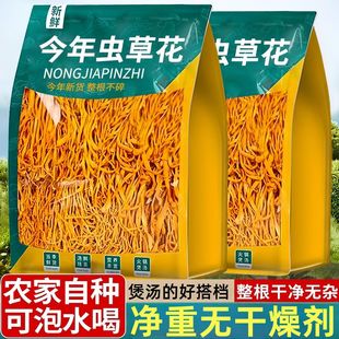 虫草花新鲜干货正品北虫草金菇煲汤材料羊肚菌竹荪特级野生旗舰店