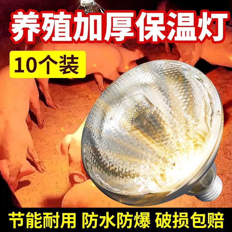 保温灯养殖场专用小鸡育雏猪场小猪用保暖灯烤灯养殖加热取暖灯泡