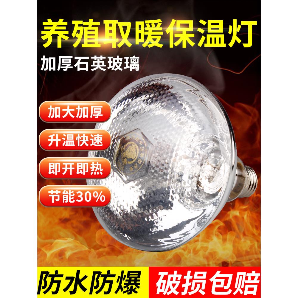 猪博士小仔猪用保温灯养殖场专用小鸡育雏保温灯取暖灯泡加热烤灯