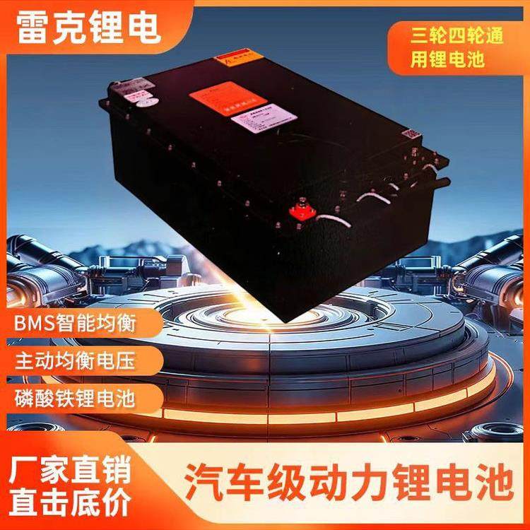 厂家直销雷克锂电全新车规级磷酸铁锂电动车锂电池60V电瓶车电池