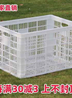 白色装水果的塑料筐长方形货框筐子大号镂空蔬菜收纳篮熟胶大型框