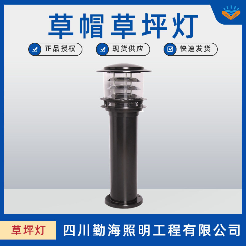 草坪灯欧式户外公园灯景观灯小区别墅灯LED防水草帽草坪景观灯