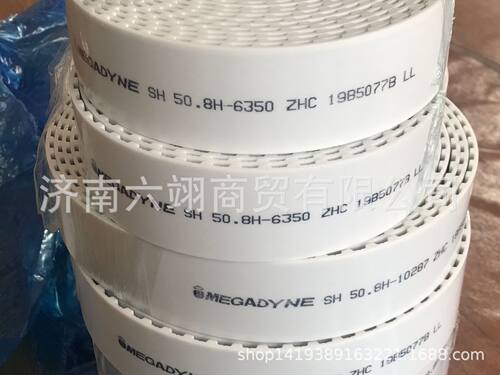 意大利麦高迪MEGADYNE钢丝开口带50.8H-6032.5玻璃机械设备配套