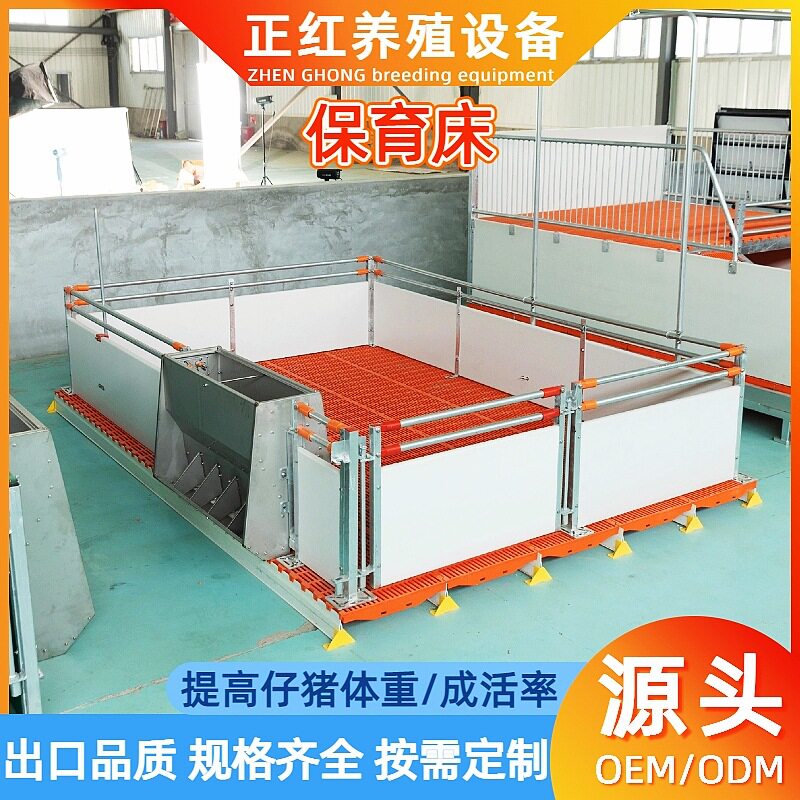 养殖场欧式PVC保育畜牧养猪场养殖场小猪保育床仔猪保育产床