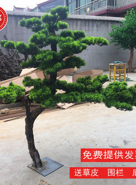 仿真松树迎客松罗汉松假松树商场酒店装饰造型美人松景观摆件定制