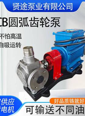 圆弧齿轮泵现货供应304不锈钢齿轮泵YCB1.6电动增压燃油泵压力泵