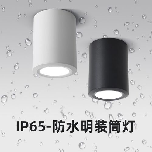 防水明装筒灯lP65室外阳台酒店雨棚灯店铺门头明装吸顶射灯圆形