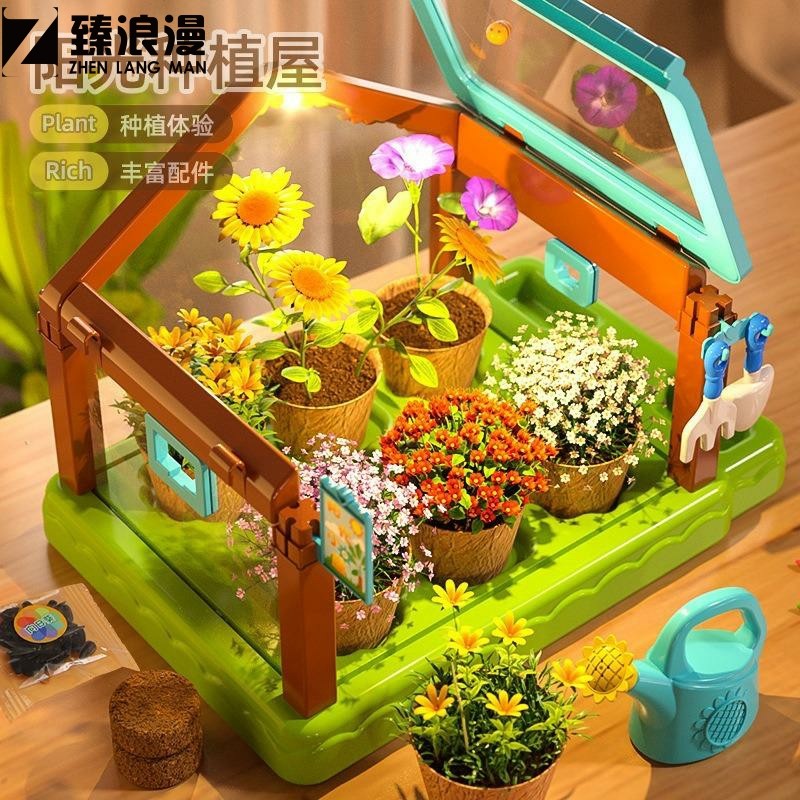 2023流行玩具阳光房种植儿童种菜科学小实验套装小学生植物生长观