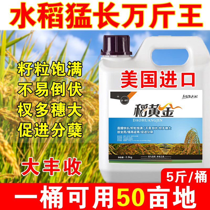 进口水稻专用叶面肥水稻高产粒粒饱水稻增产剂促进分蘖生根壮苗