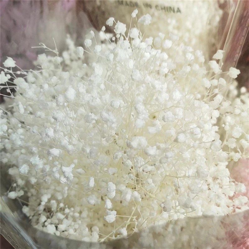 梦幻星干花永生花梦幻星满天星花束DIY花材昆明直发