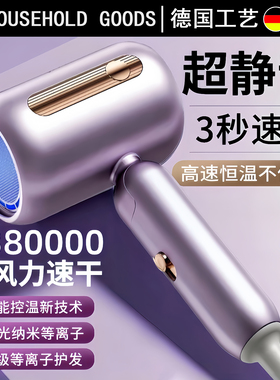 德国吹风机家用大风力负离子护发