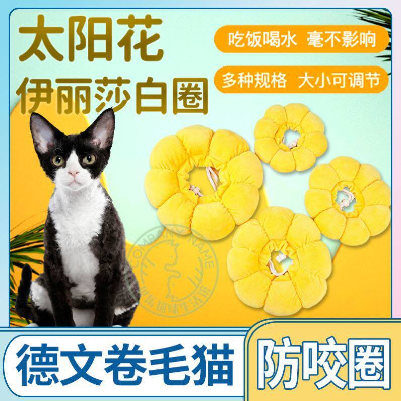 猫猫防舔不勒专用软头套猫咪可爱太阳花项圈猫猫绝育伊丽莎白用品