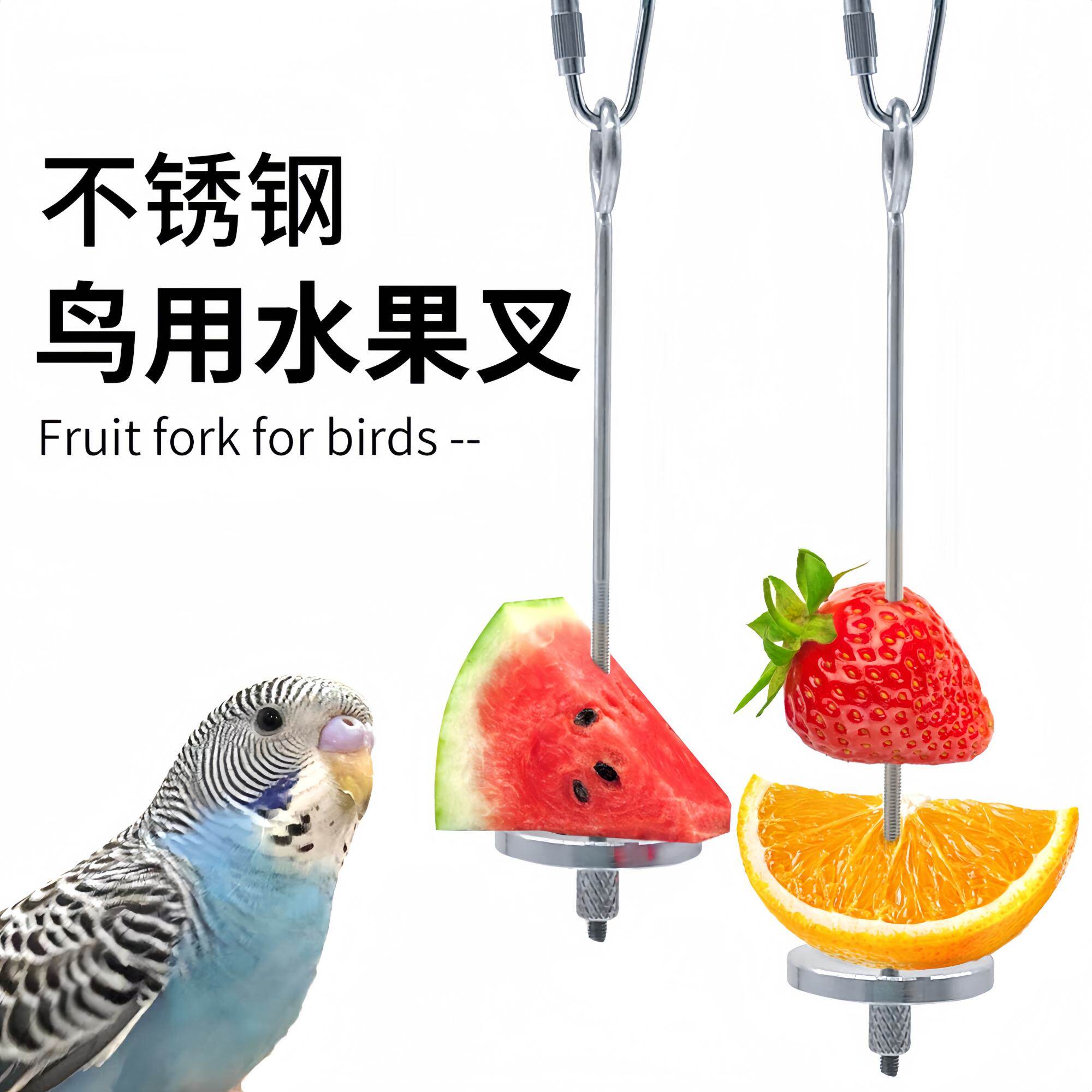 鹦鹉鸟用水果叉不锈钢水果棒虎皮喂食器鸟类喂食专用夹子鸟笼用品