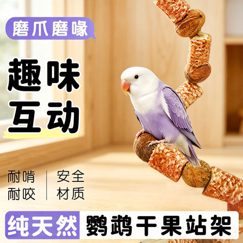 鹦鹉解闷咬咬攀爬架站杆
