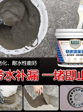 雷邦仕水不漏堵漏王快干水泥卫生间屋顶裂缝防渗水胶堵洞宝速补灵
