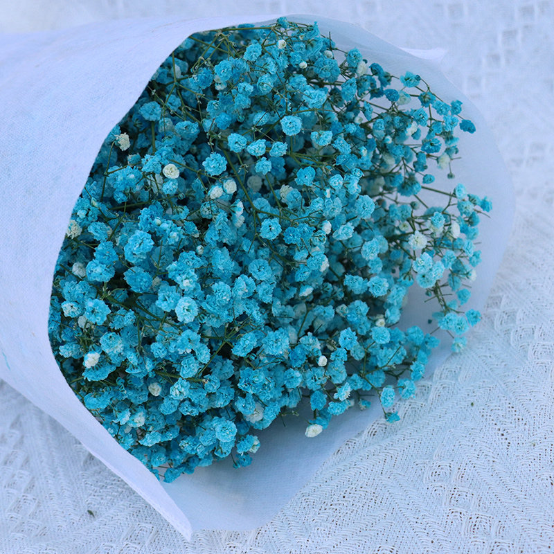 满天星干花花束鲜花真花客厅天然摆设卧室摆件家居插花云南直发