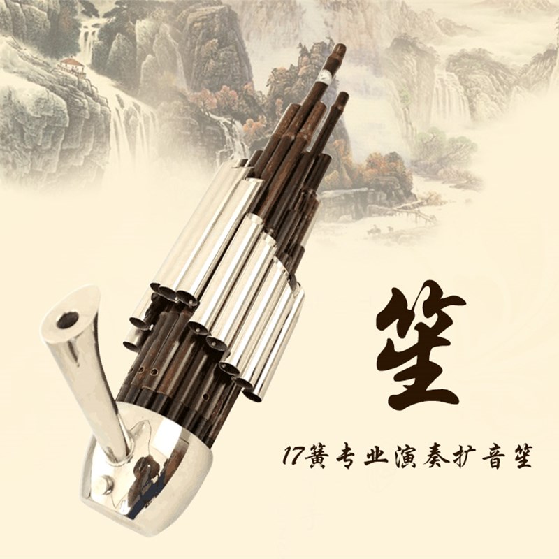 厂家直销专业精致17簧扩音笙DCFGE调笙