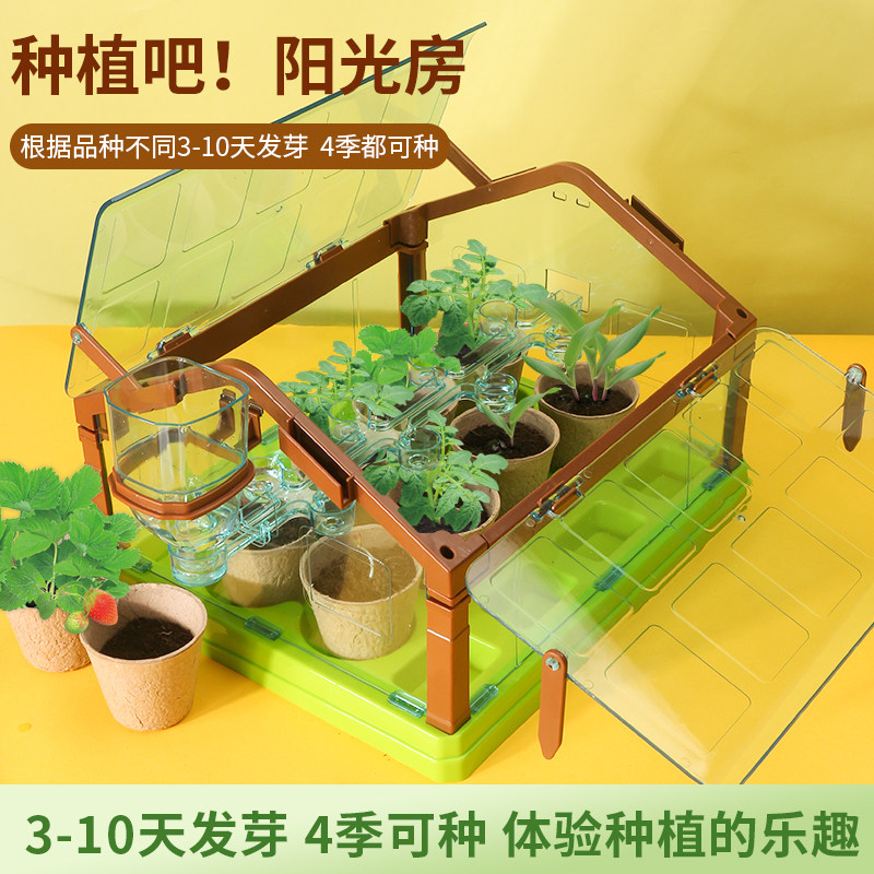 儿童迷你种植阳光房水果蔬菜植物生长观察育苗房DIY科教益智玩具