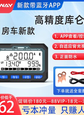 TX21房车库仑计电动车电摩三轮车电量显示器表电池容量检测仪