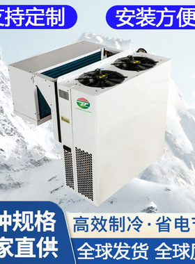 Monoblock Unit侧嵌入式冷库制冷机组一体机保鲜冷藏整体式