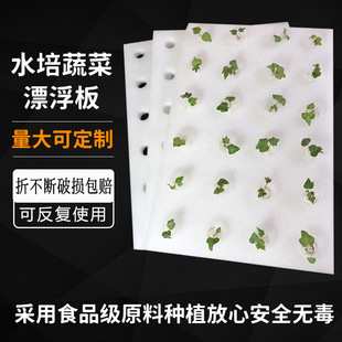 种植板植物水培无土栽培鱼菜共生定植浮床水培定植板泡沫板漂浮板