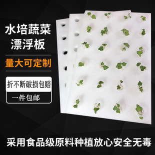 定制绿植水培蔬菜种植板水面漂浮无土栽培泡沫板鱼菜共生水稻种植