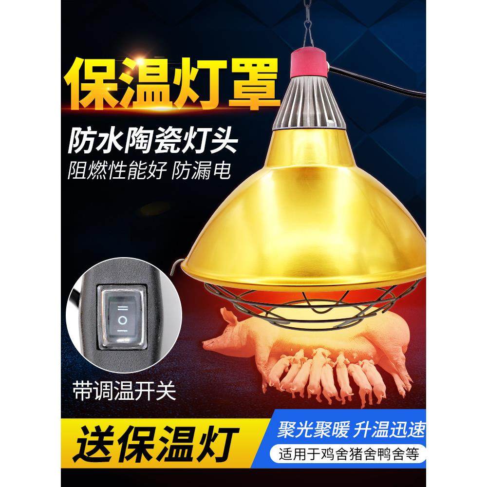 保温灯罩养殖场取暖灯泡灯罩可调温小鸡仔猪育雏加热灯罩畜牧设备,畜牧/养殖物资,畜牧/养殖器械,淘宝优惠券,粉丝福利购,淘宝优惠卷