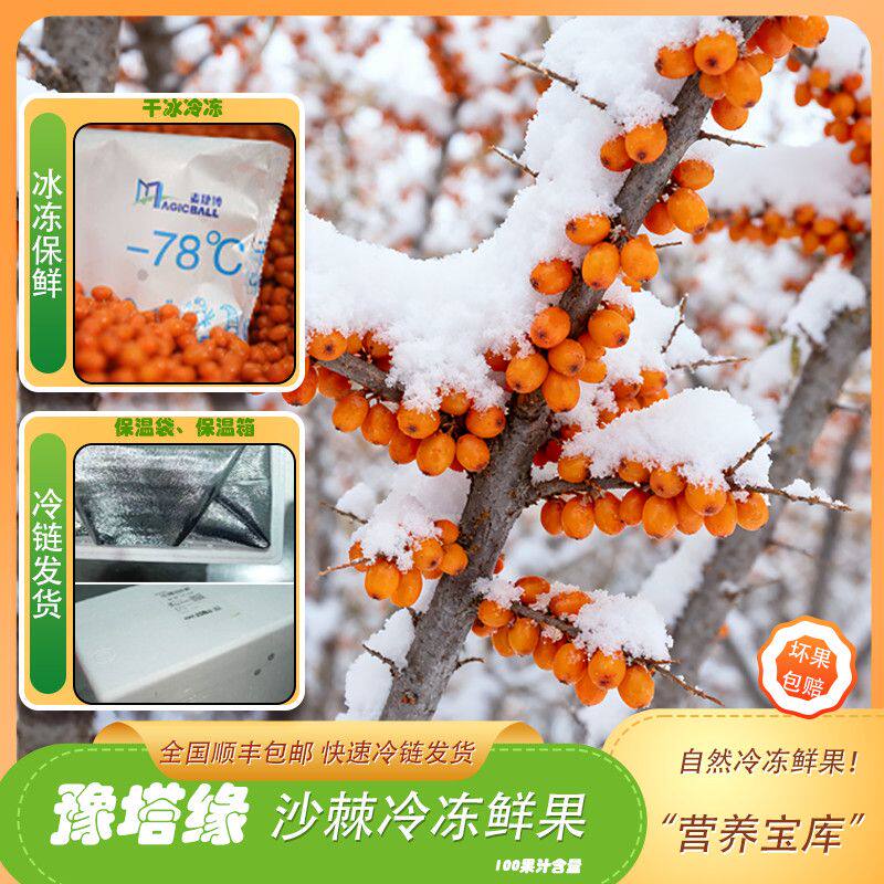 豫塔缘沙棘果富硒沙棘鲜果