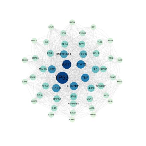 生信TCGA GEO GTEx数据库下载挖掘limma差异分析ppi蛋白互作网络