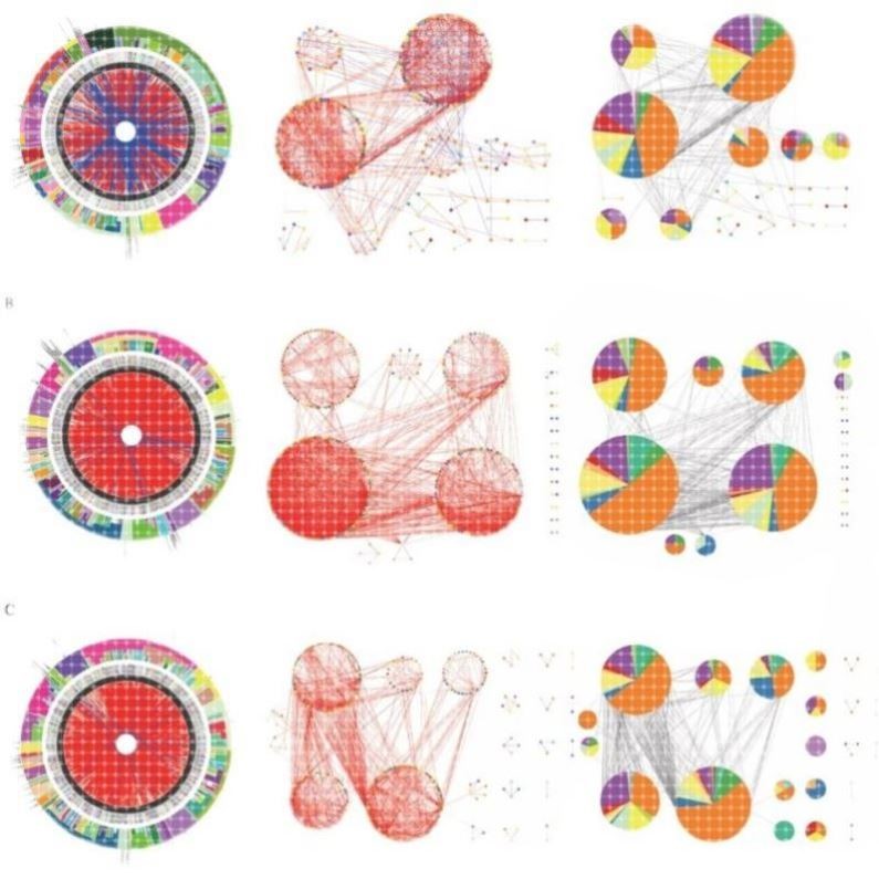 微生物共现网络分析,R语言做图,AI