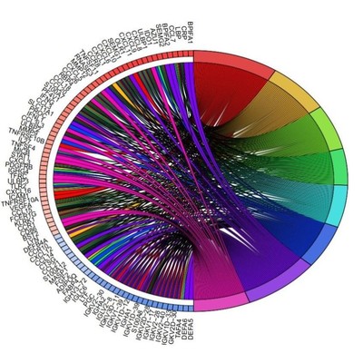 TCGA数据库免疫基因预后(免疫治疗/生存分析/WGCNA共表达网络)