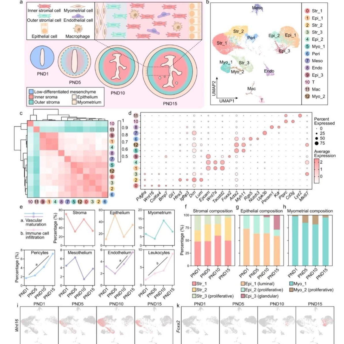 scRNA-seq 数据挖掘细胞聚类定制服务
