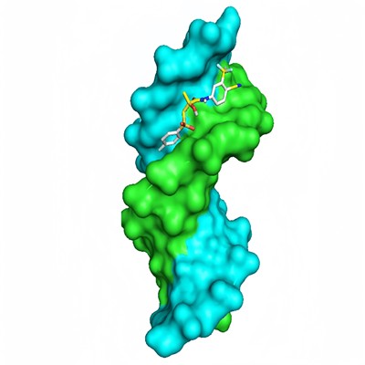 分子动力学模拟、自由能计算、MMGBSA、氢键分析