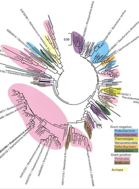 植物代谢组学数据分析课程实用手册教学培训视频SIMCA-P MSDIAL