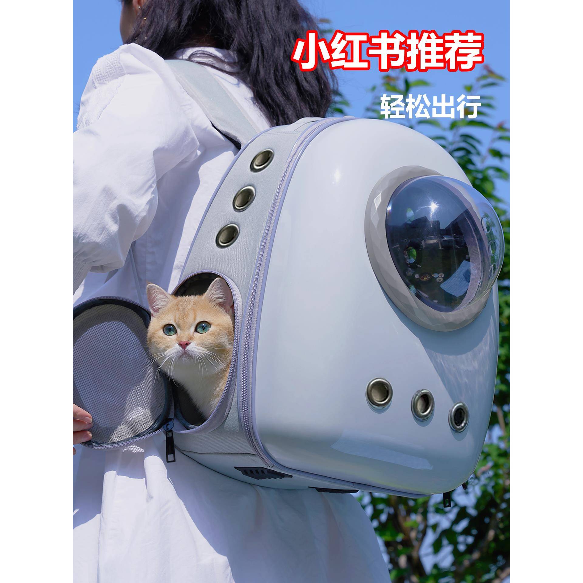 猫包外出便携太空舱猫咪背包轻便款社会化双肩大容量书包宠物狗狗