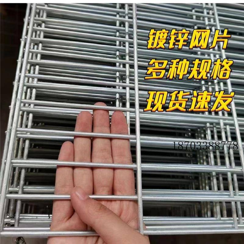 镀锌铁丝网片围栏小孔加粗养殖网狗笼养殖建筑钢筋长孔网格防护网