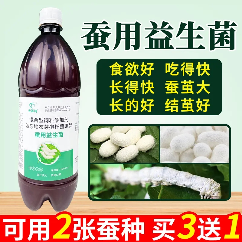 蚕用益生菌养蚕用空头病结大白茧
