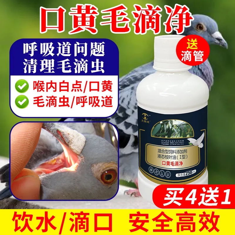 鸽用口黄毛滴净斗鸡喉内白点正品