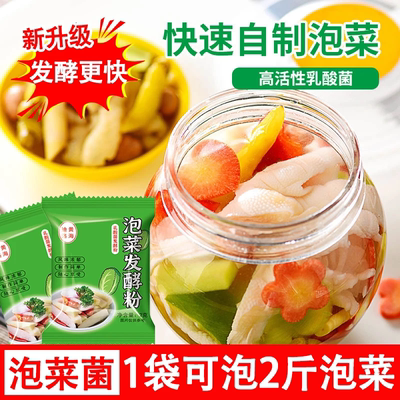 乳酸菌泡菜发酵菌粉自制酸菜