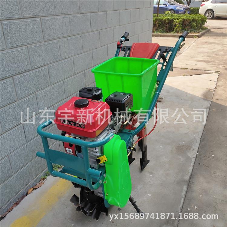 手推式玉米地施肥机双行大豆播种机 柴油独轮耘播机