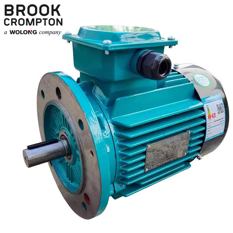 电气驱动集团电机IE2/IE3/WE3/WE4/WE5 YE5三相异步电机