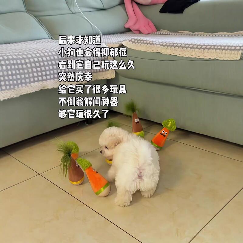 宠物玩具不倒翁猫咪摇摇乐羽毛逗猫棒狗狗消耗体力胡萝卜自嗨神器