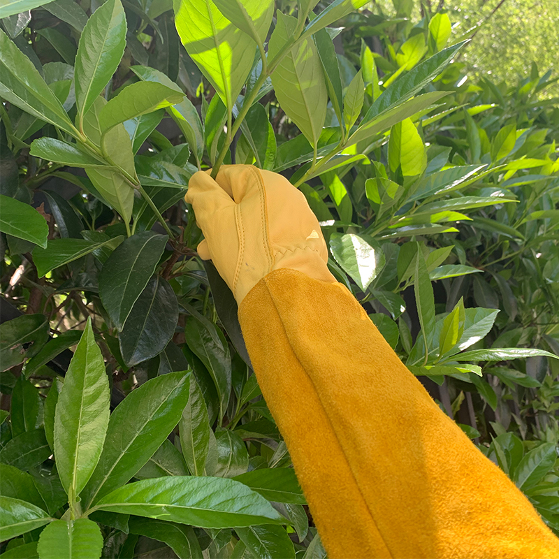 防刺扎园艺手套皮质防滑加长款护臂拌土修剪玫瑰摘U花椒板栗仙人
