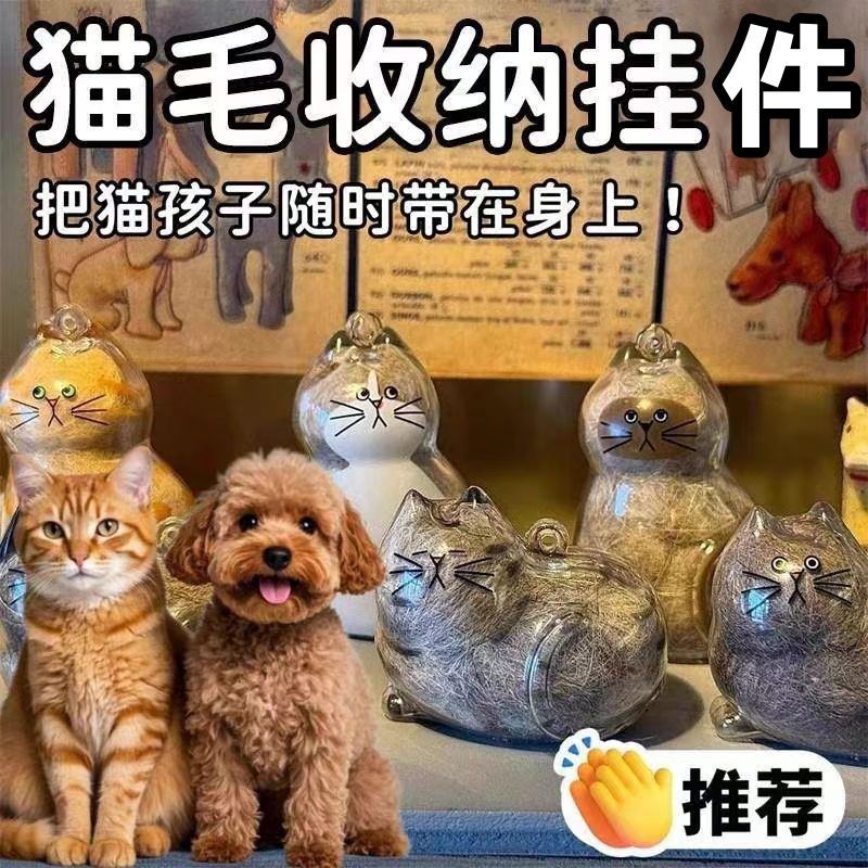 透明猫毛收纳盒吊饰扭蛋猫咪