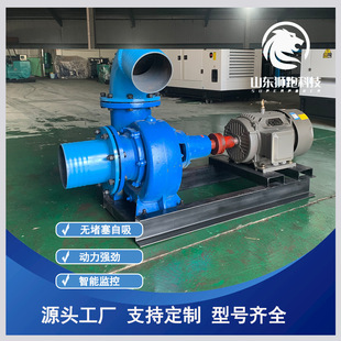 电动混流泵自吸式大流量无堵塞城市应急排涝田地抗旱灌溉厂家直销