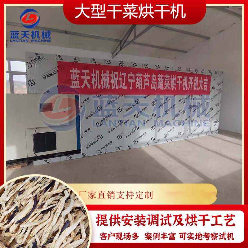 大型蔬菜风干机 全自动豆角辣椒黄瓜条茄子干菜土豆片烘干机整套
