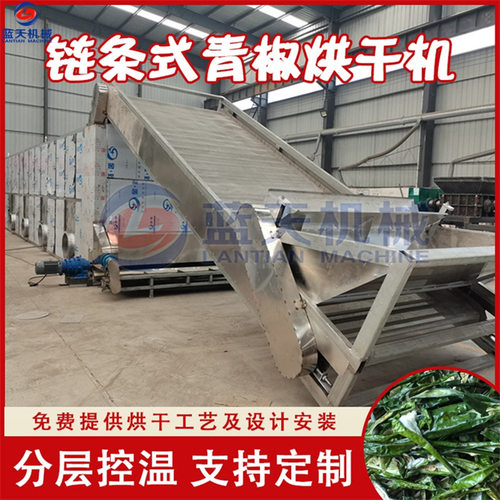 青椒烘干设备 全自动青辣椒青红辣椒圈干燥机 网带青椒切丝烘干机