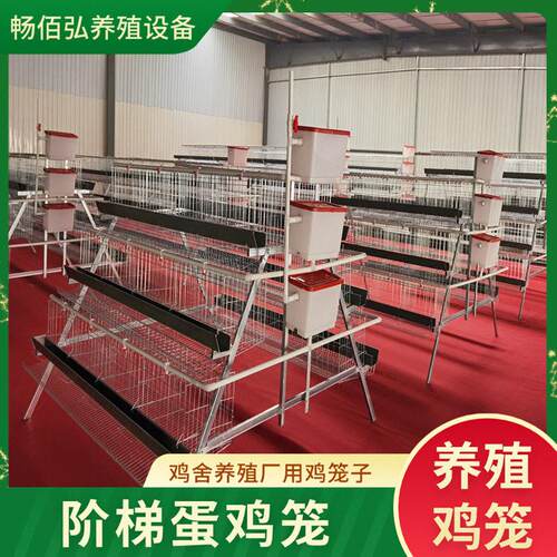 镀锌蛋鸡笼加粗阶梯式三层双边层叠养殖场专用笼立式层叠蛋鸡笼